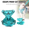 Cat Harness and Leash for Walking, Harnesses for Small Medium