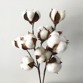 Operitacx 34cm Dried Cotton Stems, 6 Artificial Flowers, Natural Home Decor for Wedding Outdoor Vase Decoration