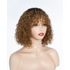 JOEDIR LUX Glueless Short Curly Human Hair Wig with Bangs