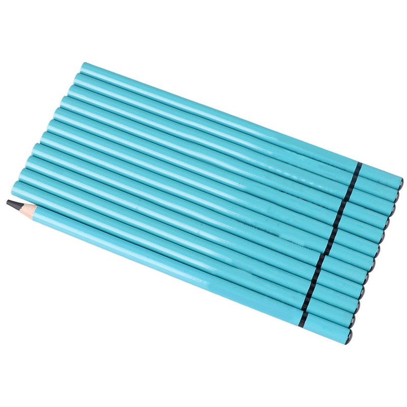 12pcs Charcoal Pencils Set Synthetic Wood Sketching Drawing Pencils for