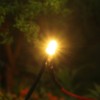 Evemodel L123WM 20pcs Pre Wired 3mm WARM White Led Lamp