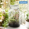 1 Gallon Super Wide Mouth Glass Storage Jars with Airtight