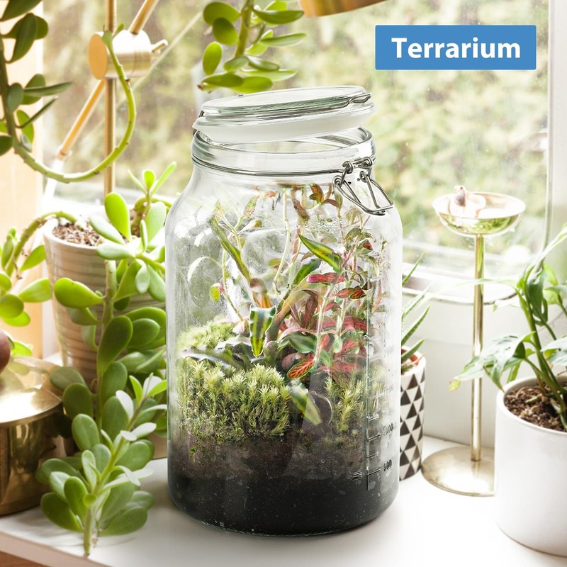 1 Gallon Super Wide Mouth Glass Storage Jars with Airtight