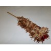 Real Chicken Hen's Feather Duster 24 Inch Long Total Length,
