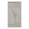 Love Tea Lemongrass & Ginger Loose Leaf Tea, 75g
