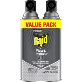 Raid Wasp & Hornet Killer Spray, Bug Killer Kills best and fast 2025