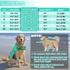 EMUST Adjustable Dog Life Jacket with Rescue Handle, Flotation Vest
