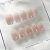 [Handmade Nail Tips] Magnet Cheek Nail Tips - Short Ballerina