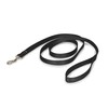 PetSafe Nylon Dog Leash - Strong, Durable, Traditional Style Leash