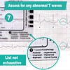ECG 7 Step Ruler, ECG Plastic Ruler, Transparent EKG Pocket