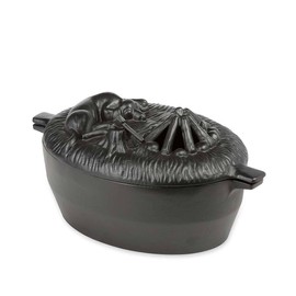 Sleeping Dog Cast Iron Wood Stove Steamer with Matte Black Enamel Finish, Rust Resistant - A Decorative Functional Alternative to Electric Humidifiers - 2.75 Quart Capacity