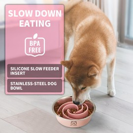 2-in-1 Metal Slow Feeder Dog Bowl, Bestalk Stainless Steel Dog Bowls with Silicone Slow Feeder Insert, 304 Water Food Bowl with Anti-Slip Base for Small, Medium, Large Dogs