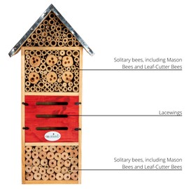 JCs Wildlife Tall Insect Hotel - Great for housing Mason Bees, Leaf-Cutter Bees and Lacewings, Extra Large Bee House 21.75" X 7.25" X 5.75"