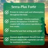PROVITA Serra Plus Forte - Anti-inflammatory Support by Provita |Serrapeptase
