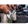 Berkley Choppo Topwater Esca da pesca | Esca facile da