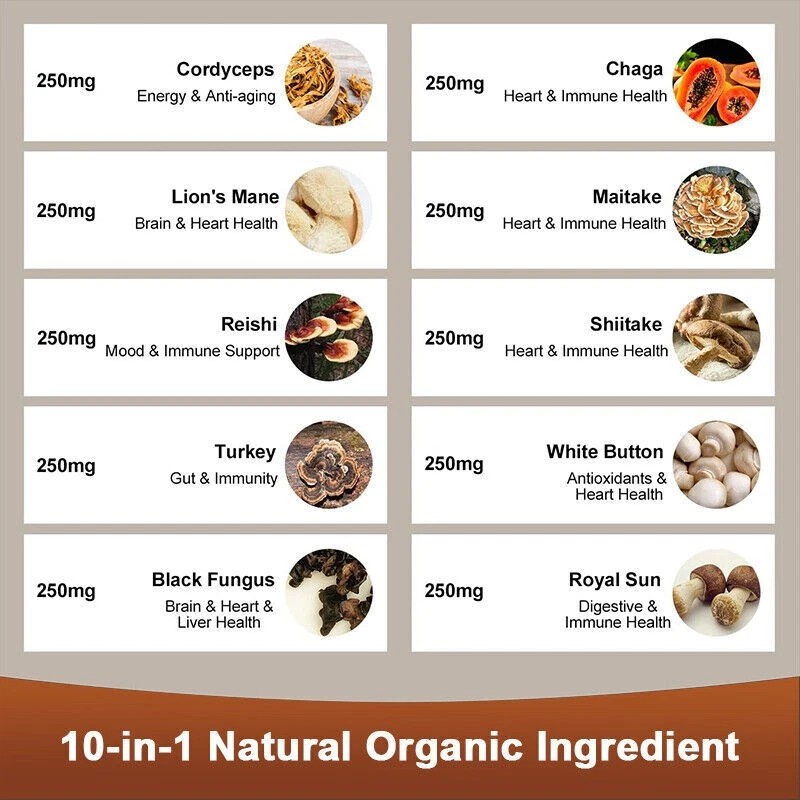 Mushroom Extract Complex Gummies Lions Mane Chaga Reishi Focus Memory