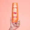 L'Oréal Paris Acondicionador Dream Long Elvive 370 ml