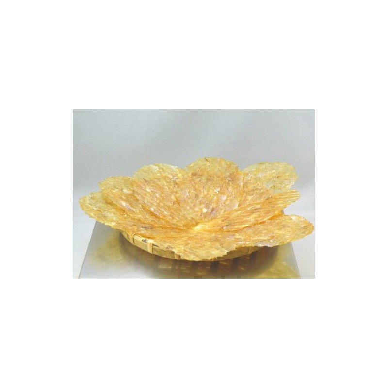 Dried filefish 2.0 oz (55 g)