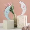 LetsQueen Let's Queen Gua Sha Galvanic Massager F100