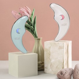 LetsQueen Let's Queen Gua Sha Galvanic Massager F100