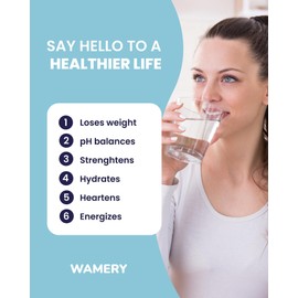 Wamery Alkaline Refrigerator Water Filter Replacement - Model LT1000P/PC/PCS (ADQ747935), 6-Month/200-Gallon Life, Twist-In Tool-Free Install, IAPMO to NSF/ANSI 42, Leak-Free Seal, 1 Pack