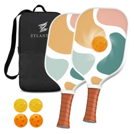 OEM/ODM USAPA Approved Fiberglass Honeycomb Core Pickleball Set with 4 Balls Polyester Bag Durable Rackets for Entertainment Use