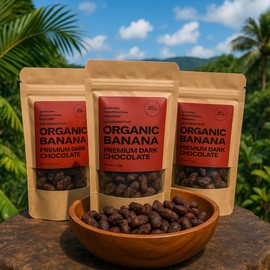 Organic Banana Bites with 65% Dark Chocolate– Gluten-Free, No Preservatives, Healthy Fruit Snack – Naturally Sweet | Conscious Fruit Snack from Costa Rica - 75g Each (9.98oz Total) - 3 PACK