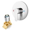 Heyalan Bathroom Shower Valve Mixer Single-Function Single Handle Shower Handle
