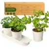 Herb Planter Indoor | Grow Fresh Herbs At Home |