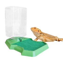 Bearded Dragon Tank Accessories, Reptile Water Bowl with Sponge Drowning Avoided Design, Reptile Water Dish for Bearded Dragon, Gecko, Tortoise, Frog