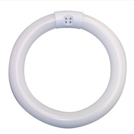 Luxo 31640 22W T-9 Fluorescent Bulb