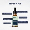 Conservador Natural Hebbe Geogard 221 Libre Parabenos Aceite 30ml