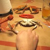 Treasure Gurus Red Crab Hammer Cracker Lobster Claw Mallet Seafood