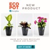Arqlite Smart Gravel 1 Gallon Eco Friendly for Drainage, Hydroponics,