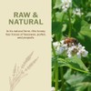 OneRoot Raw Buckwheat Honey – 500g / 17.6oz, Unheated &