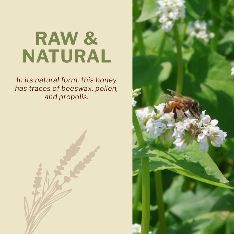 OneRoot Raw Buckwheat Honey – 500g / 17.6oz, Unheated &