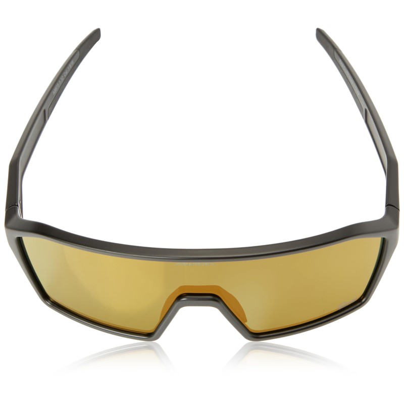 ALPINA Unisex RAM Q-LITE Sunglasses, Black/Green Matt, One Size, Black-green