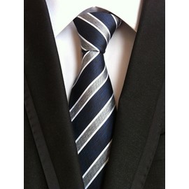 Ctskyte Men Navy Blue Grey White Jacquard Woven Silk Regular Tie Business Formal Necktie