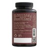 Xical Vida Y Salud, 4 Enzimas Digestivas Y 4 Probióticos