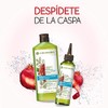 Yves Rocher Shampoo Tratamiento Anti Caspa, 300 ml