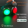 DMWD 2Pcs 22mm 110V-220V AC Metal Indicator Light 20mA Waterproof