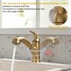 BRAVEBAR Gold Kitchen Faucet with Sprayer - Matte Brushed Gold