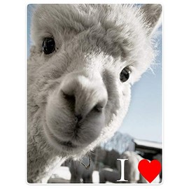 YISUMEI Blanket 150 x 200 cm Cuddly Blankets Soft Flannel Fleece Blanket I Love Alpaca