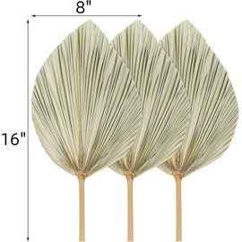 AVLA - Paquete de 12 abanicos bohemios de palma natural, lanza tropical seca con tallo, planta de hojas secas para jarrón, decoración de flores bohemias de boda para fiestas, oficina, hogar