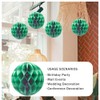 Yosawa 8PCS Honeycomb Flower Balls Tissue Paper Flower Balls Hanging