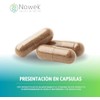 Nowek Rhodiola Rosea 60 Cápsulas Suplemento Alimenticio Ingredientes Naturales No