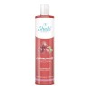 Shampoo Corporal Antioxidante De Arandano Shelo Nabel