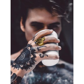 Bandmax Dragon Ring Men's Stainless Steel Rings Dragon Band Ring Signet Ring Size 54 mm to 72 mm Friendship Ring Dragon Jewellery for Boys, Metal, No Gemstone