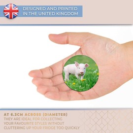 Destination Vinyl ltd Magnet for Refrigerator, Fridge - Cute Little Piglet Pig Pink Farm Animal for Office, Cabinet and Whiteboard, Magnetic Stickers, 14879