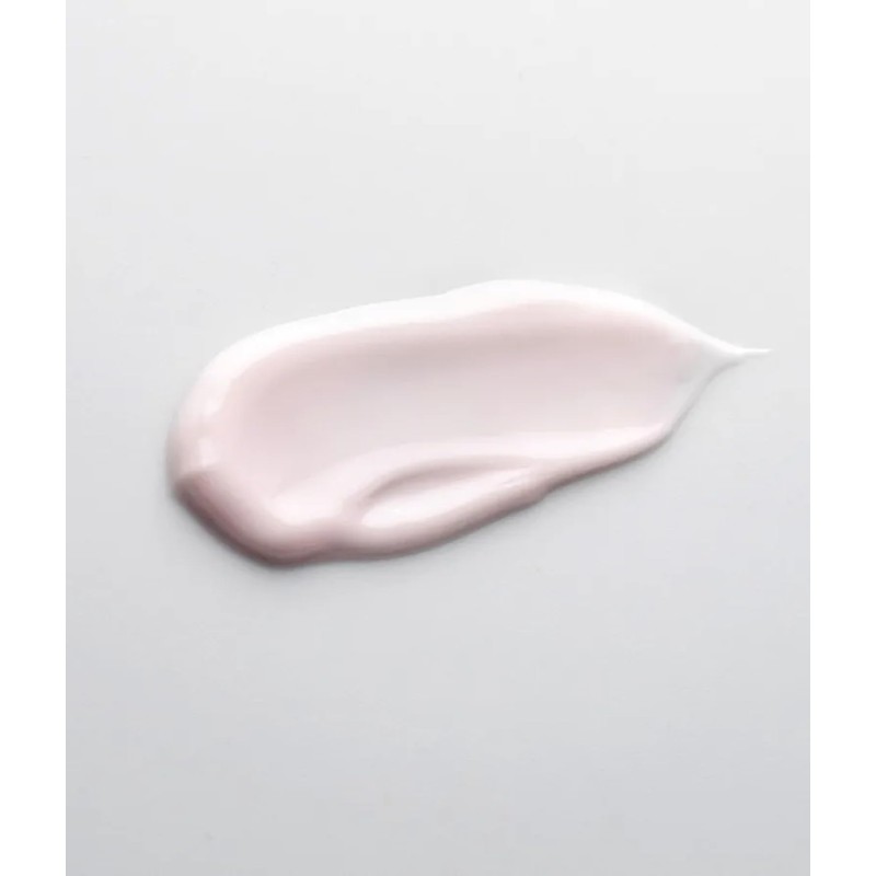 SCHRAMMEK Ageless Future Day Cream, 1 x 50 ml